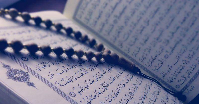 Pexels/Tayeb MEZAHDIA